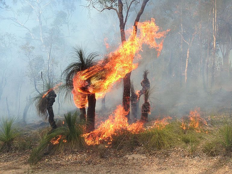Kontrollierter Brand: Indigenes Feuermanagement in Glen Forrest, Western Australia