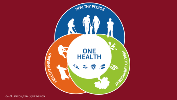 Eine Grafik mit vier &uuml;berlappenden Kreisen. Der zentrale Kreis beinhaltet den Schriftzug &bdquo;One Health&ldquo; und korrespondierende Symbole (Spritze, Bakteriophagen, Virus, Medikamente). Auf den drei dahinter liegenden Kreisen ist jeweils ein Schriftzug mit passenden Symbolen zu sehen: Healthy People (Silhouetten von Menschen), Healthy Animals (Silhouetten von Tieren), Healthy Enviroment (Silhouetten von Pflanzen).