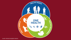 Eine Grafik mit vier &uuml;berlappenden Kreisen. Der zentrale Kreis beinhaltet den Schriftzug &bdquo;One Health&ldquo; und korrespondierende Symbole (Spritze, Bakteriophagen, Virus, Medikamente). Auf den drei dahinter liegenden Kreisen ist jeweils ein Schriftzug mit passenden Symbolen zu sehen: Healthy People (Silhouetten von Menschen), Healthy Animals (Silhouetten von Tieren), Healthy Enviroment (Silhouetten von Pflanzen).