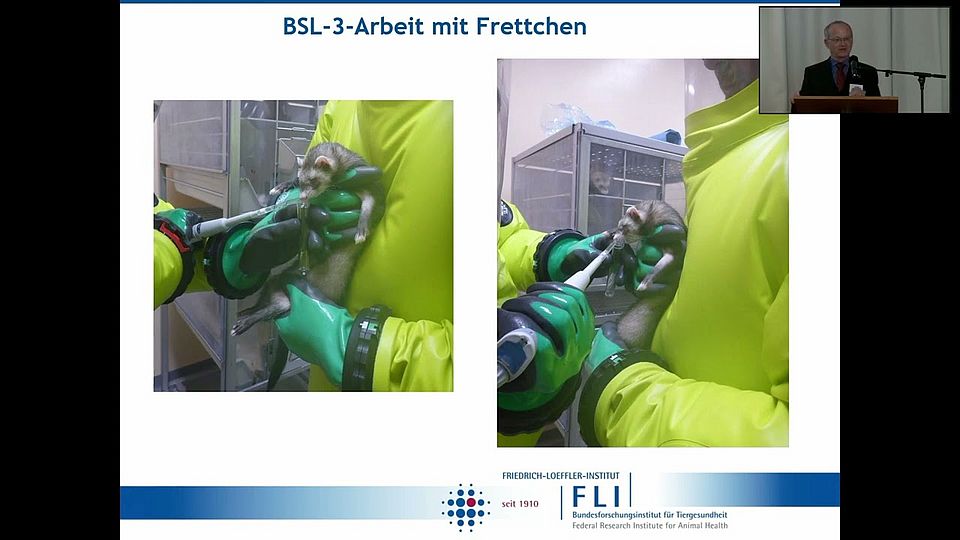 Was lehrt uns One Health?