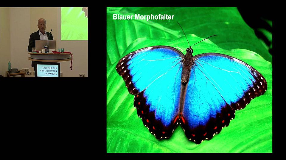 Akademievorlesung "Die Natur als Vorbild für Ingenieurwerkstoffe"