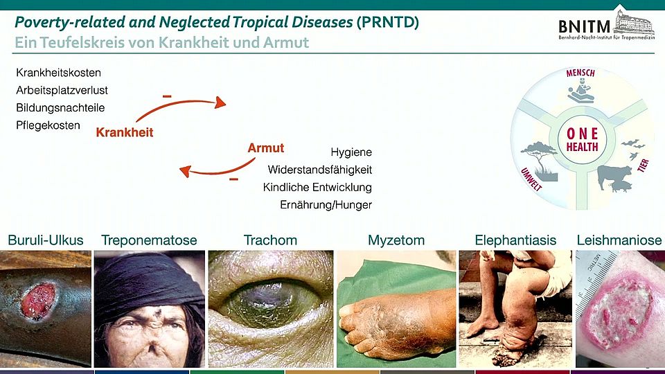 Vortrag von Prof. Dr. J&uuml;rgen May am 13.06.2024 im Rahmen der Akademievorlesungen 2024 "One Health"